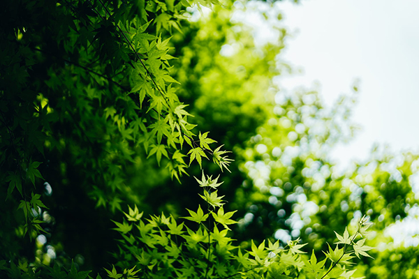 祝老师身体好的句子