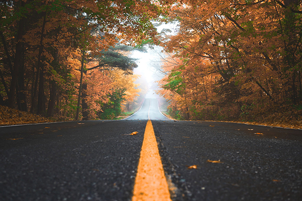 表达风景优美的句子